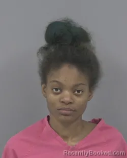 Mugshot of Essence `Hanna M Ray booked in Johnston County, North Carolina on October 13, 2026